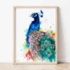 Peacock watercolor painting the artwork on the T-shirt by Slaveika Aladjova