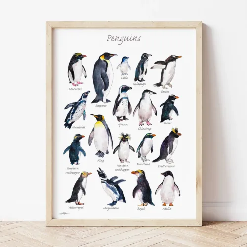 Penguins of the World watercolor painting the artwork on the T-shirt by Slaveika Aladjova