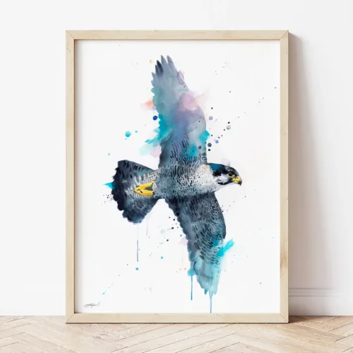 Peregrine Falcon in Flight watercolor painting the artwork on the T-shirt by Slaveika Aladjova