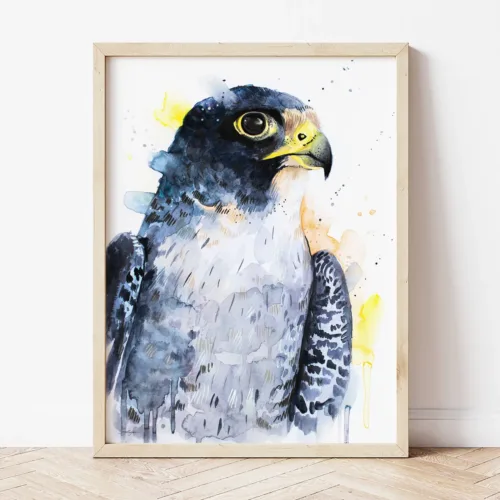 Peregrine Falcon Portrait watercolor painting the artwork on the T-shirt by Slaveika Aladjova