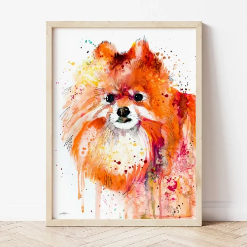 Pomeranian Art Print, Signed Limited Edition Watercolor Pomeranian dog watercolor painting, limited edition art print by Slaveika Aladjova