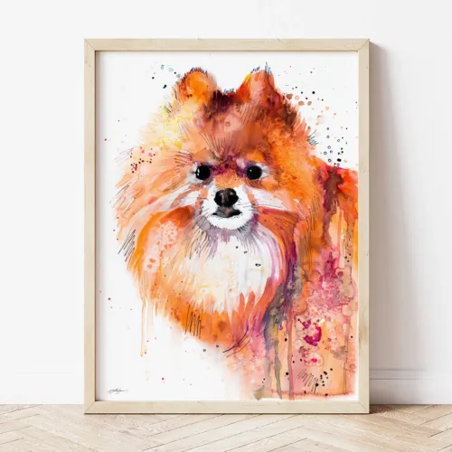 Pomeranian watercolor painting the artwork on the T-shirt by Slaveika Aladjova