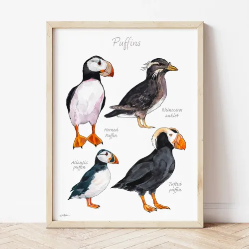 Puffins Chart watercolor painting the artwork on the T-shirt by Slaveika Aladjova