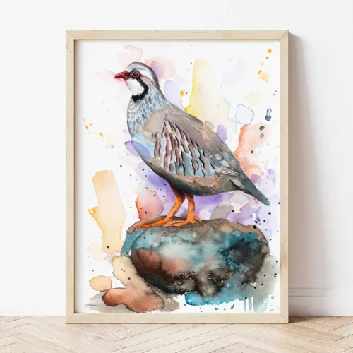 Red-legged Partridge watercolor painting the artwork on the T-shirt by Slaveika Aladjova