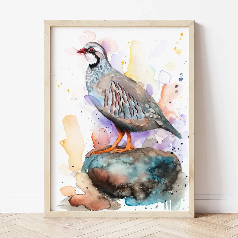 Red-legged Partridge watercolor painting the artwork on the T-shirt by Slaveika Aladjova