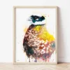 Reeves's Pheasant watercolor painting the artwork on the T-shirt by Slaveika Aladjova