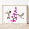 Ruby-throated Hummingbirds watercolor painting the artwork on the T-shirt by Slaveika Aladjova