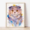 Scottish Fold Cat watercolor painting the artwork on the T-shirt by Slaveika Aladjova