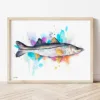 Snook watercolor painting the artwork on the T-shirt by Slaveika Aladjova