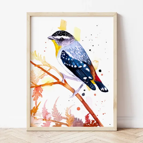 Spotted Pardalote watercolor painting the artwork on the T-shirt by Slaveika Aladjova