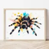 Tarantula watercolor painting the artwork on the T-shirt by Slaveika Aladjova