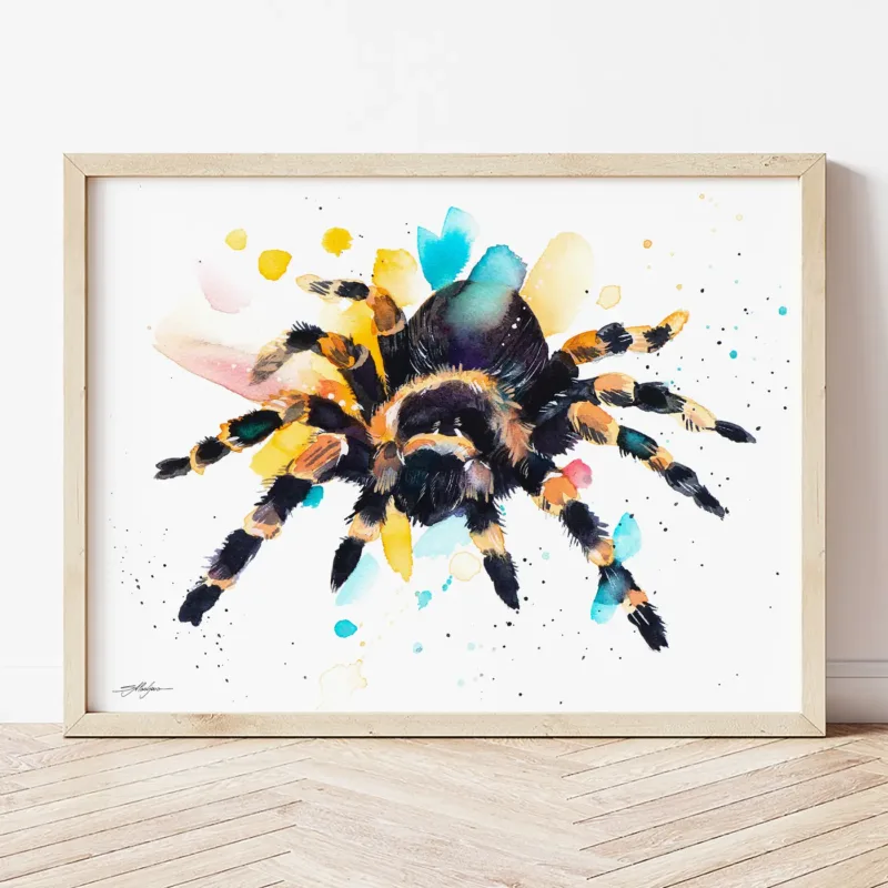 Tarantula watercolor painting the artwork on the T-shirt by Slaveika Aladjova