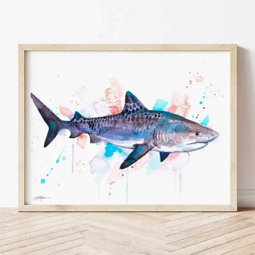 Tiger Shark watercolor painting the artwork on the T-shirt by Slaveika Aladjova