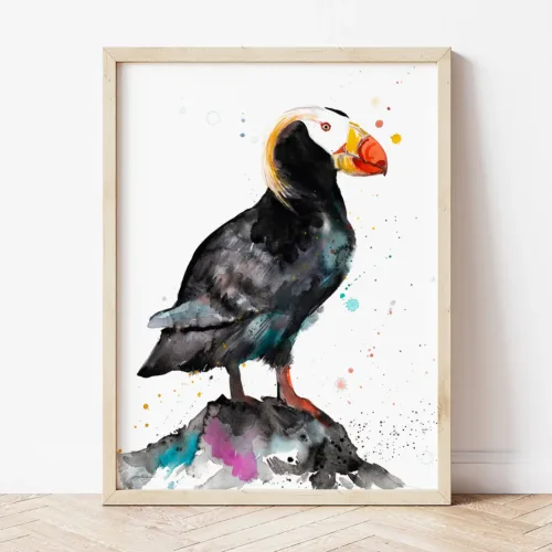 Tufted Puffin watercolor painting the artwork on the T-shirt by Slaveika Aladjova