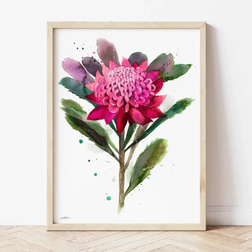 Waratah watercolor painting the artwork on the T-shirt by Slaveika Aladjova
