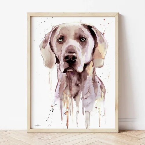 Weimaraner watercolor painting the artwork on the T-shirt by Slaveika Aladjova