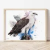 White-bellied Sea Eagle watercolor painting the artwork on the T-shirt by Slaveika Aladjova