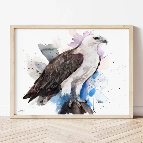 White-bellied Sea Eagle watercolor painting the artwork on the T-shirt by Slaveika Aladjova
